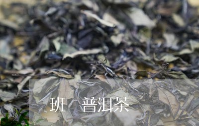 班 普洱茶/2023090514148